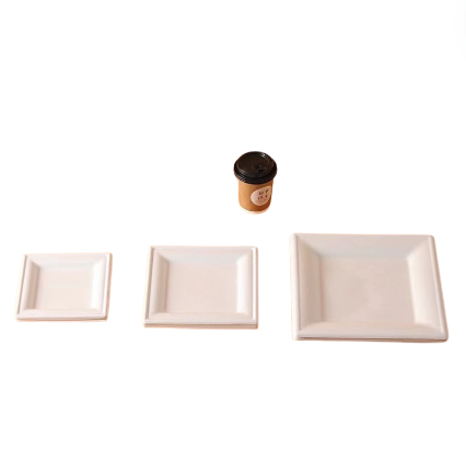 bagasse cupcake dessert tray